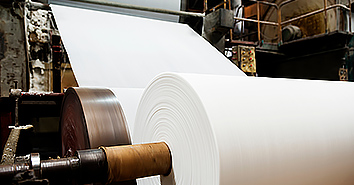 Wood Pulp and Paper industry