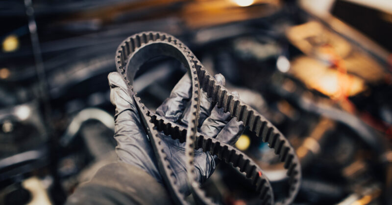 Technician holding a timing belt for a belt drive in front of machinery
